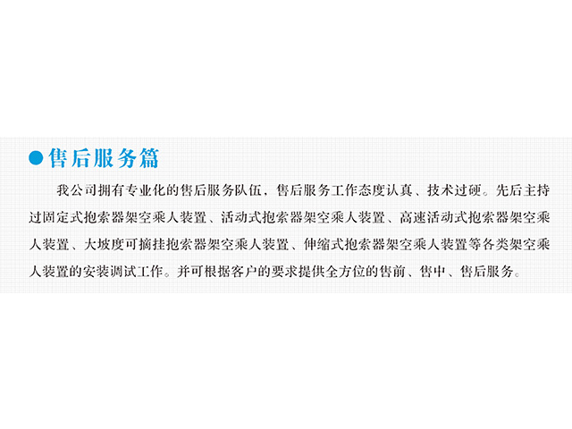 雷速变频器,雷速轮衬,雷速驱动轮构件,湖南雷速有限公司